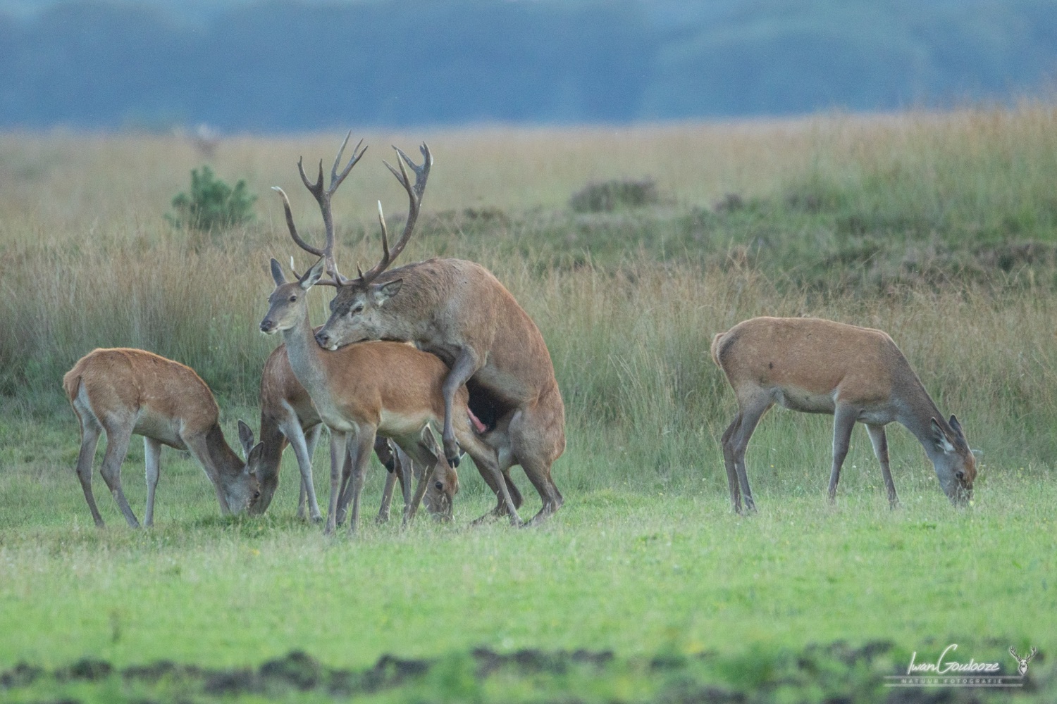 24 september 2023 193433  R2A7247